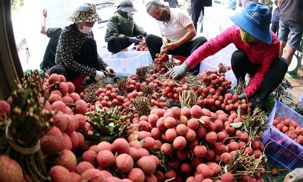 Bac Ninh boosts direct exports of key, advantageous products