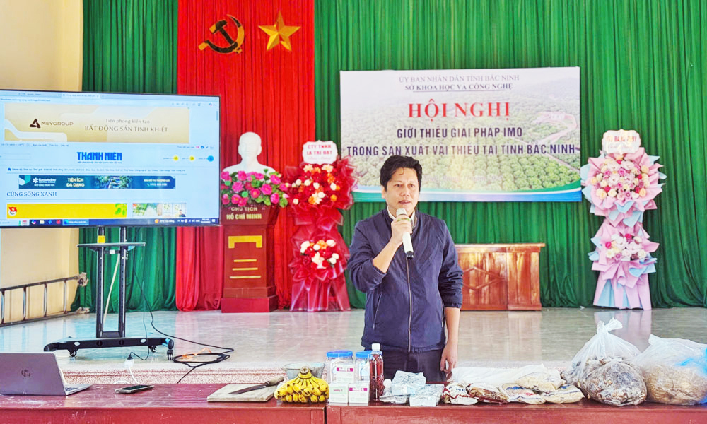 Bac Ninh promotes IMO-based lychee farming 