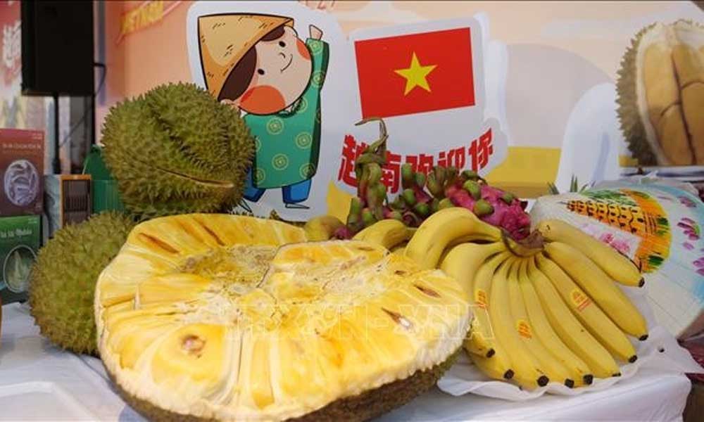 Vietnamese products, fruits promoted to Chinese businesses, consumers