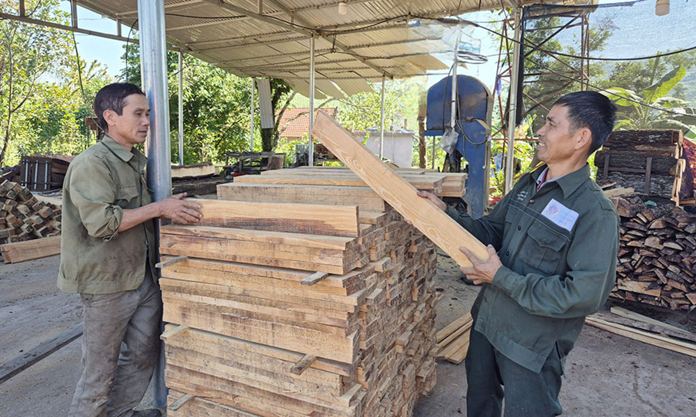 Duong Huu attracts investment projects in wood-processing plants