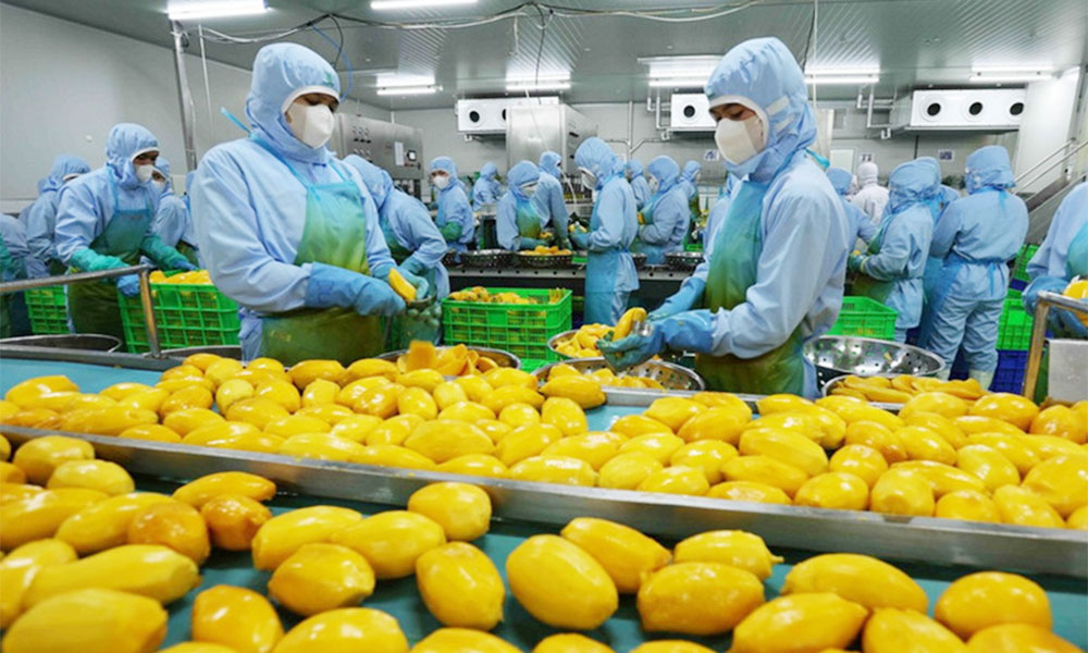 Vietnam agricultural exports rise by 12.6%