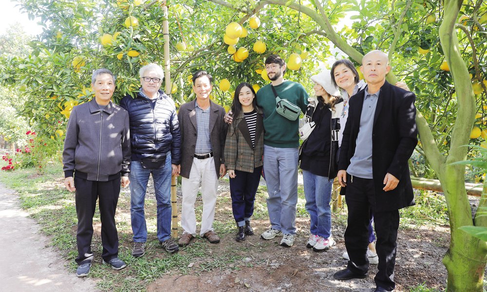 Bac Ninh fruit festival 2025 connects and boosts farm produce value