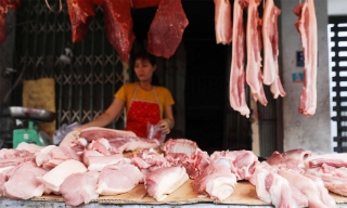 Giá lợn hơi tăng lên 70.000 đồng một kg