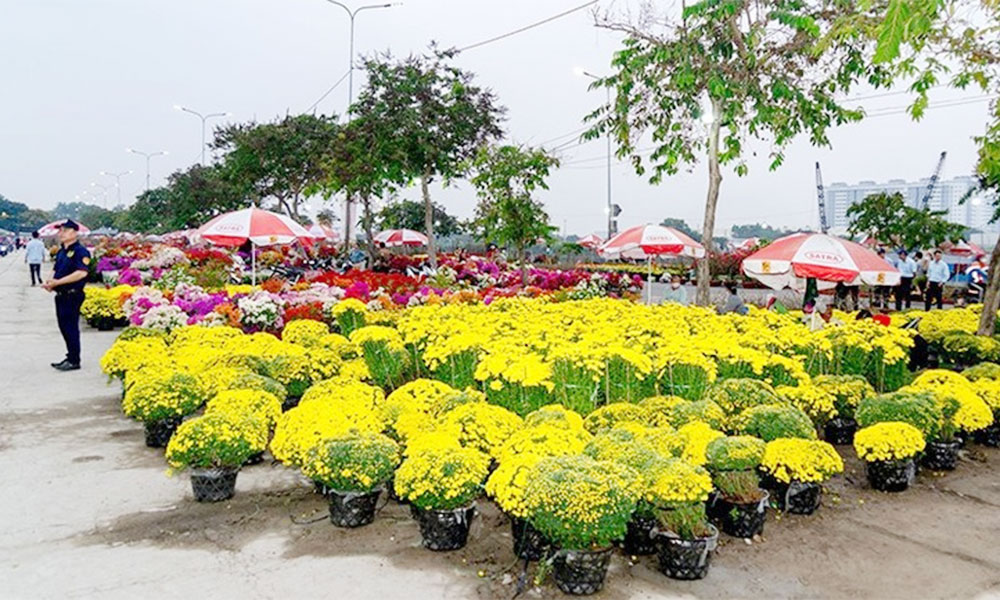 Binh Dien Spring Flower Market offers festive gateway to Tet 2026