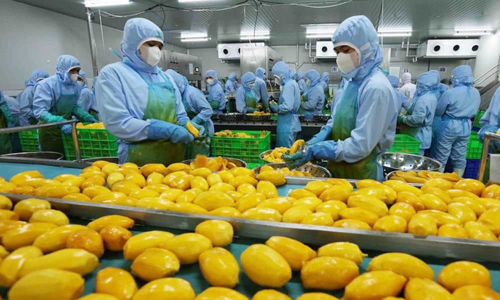 Fruit, vegetable exports post successive breakthroughs