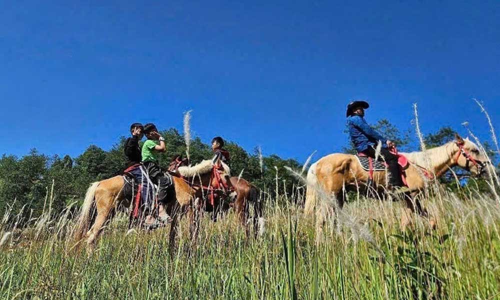 Horseback trekking debuts at Vietnam’s northernmost point