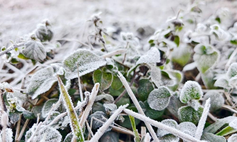             Weather forecast for nighttime of 06th January and full day of 07th January, 2026