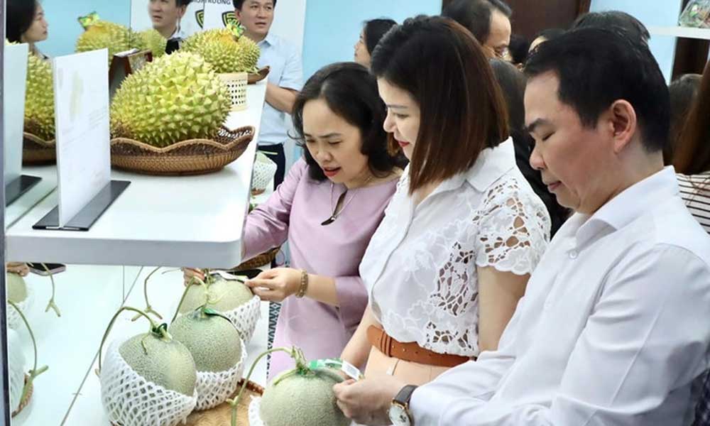 Traceability emerges as protective shield for Vietnam’s exports