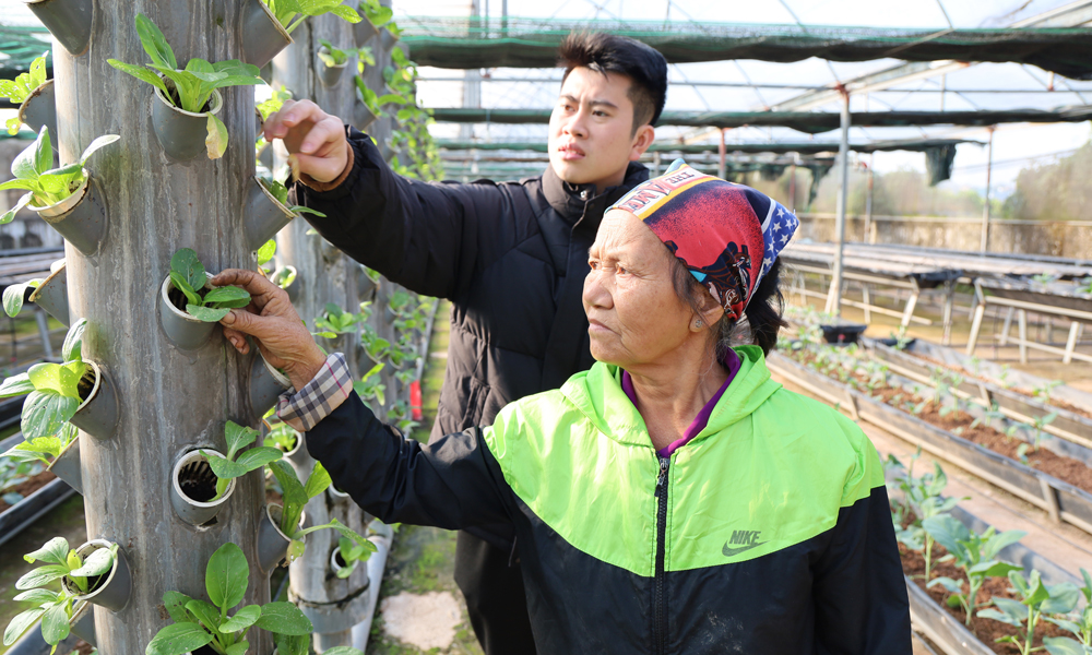 High-tech farming linked to tourism opens new path for agriculture in Bac Ninh