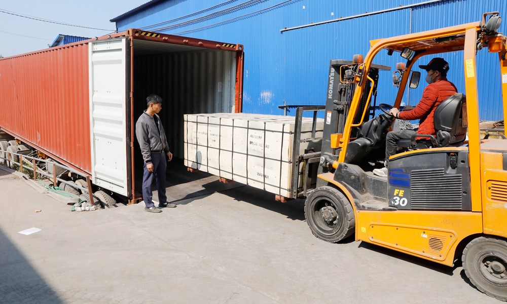 Large-scale timber harvesting boosts forestry value in Bac Ninh