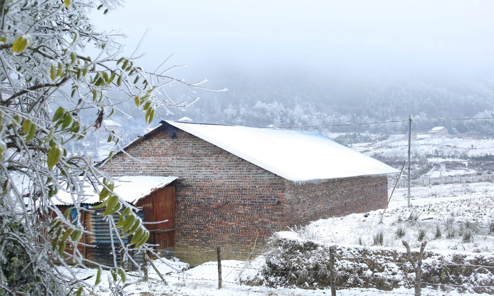             Weather forecast for nighttime of 22nd January and full day of 23rd January, 2026