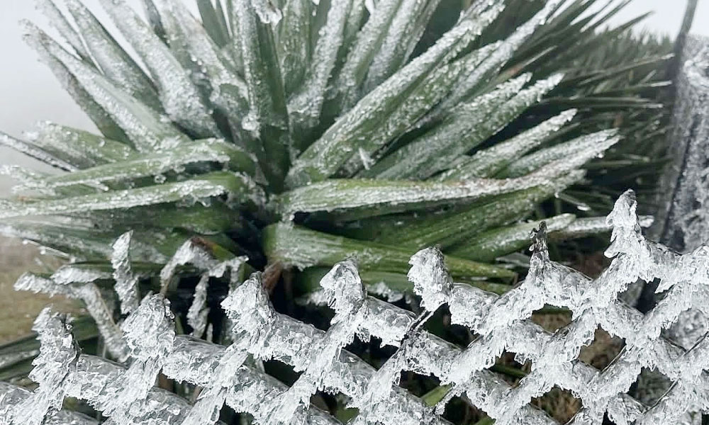 Frost blankets Vietnam mountain summit as temperatures fall to 0 C