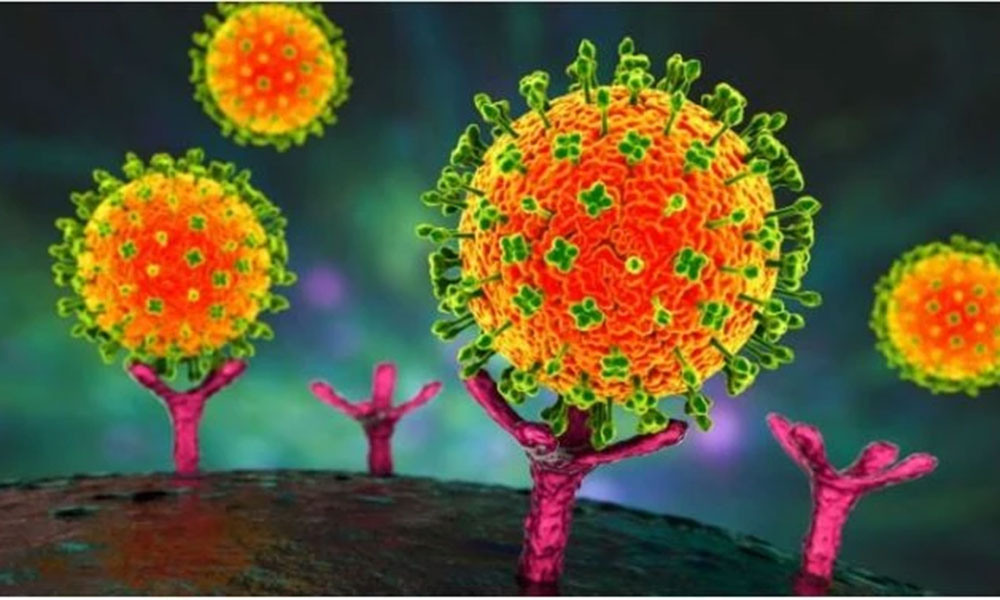 Vietnam reports no Nipah virus cases, health sector on high alert