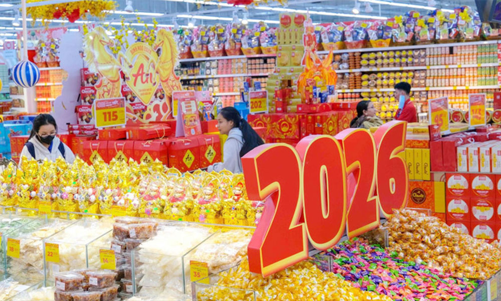 Prime Minister urges thorough Tet preparations for all