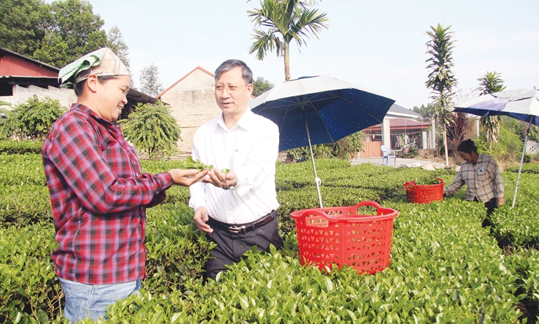  Xã Xuân Lương đánh thức tiềm năng  du lịch sinh thái, cộng đồng      