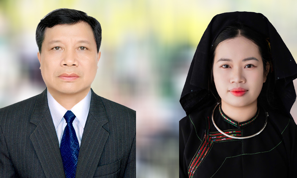 Two grassroots Party secretaries from Bac Ninh honored nationwide
