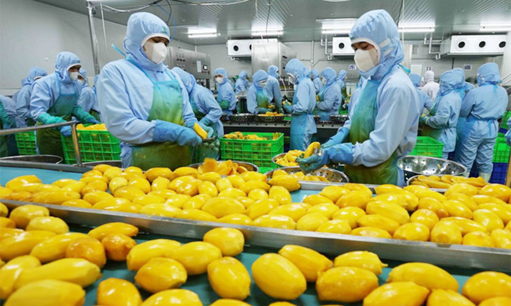 Agro-forestry-aquatic product exports surge nearly 30% in January