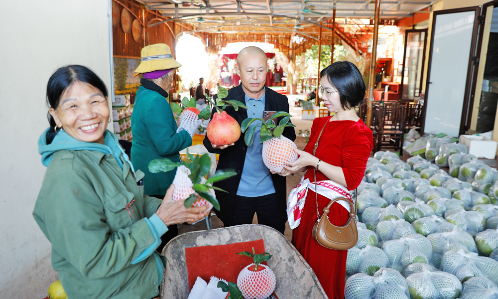 Citrus sales brisk, prices rise ahead of Lunar New Year
