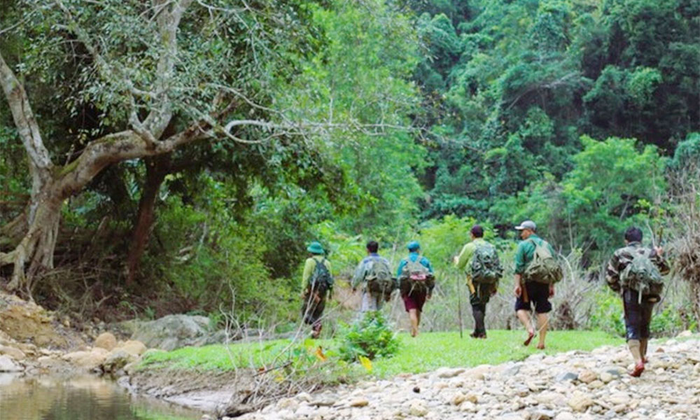 Pu Huong outlying botanical garden – “living museum” of tropical plant species