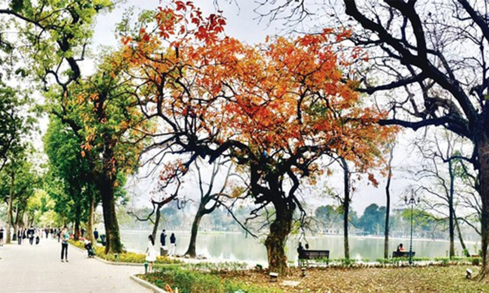 Weather forecast for nighttime of 07th March and full day of 08th March, 2026