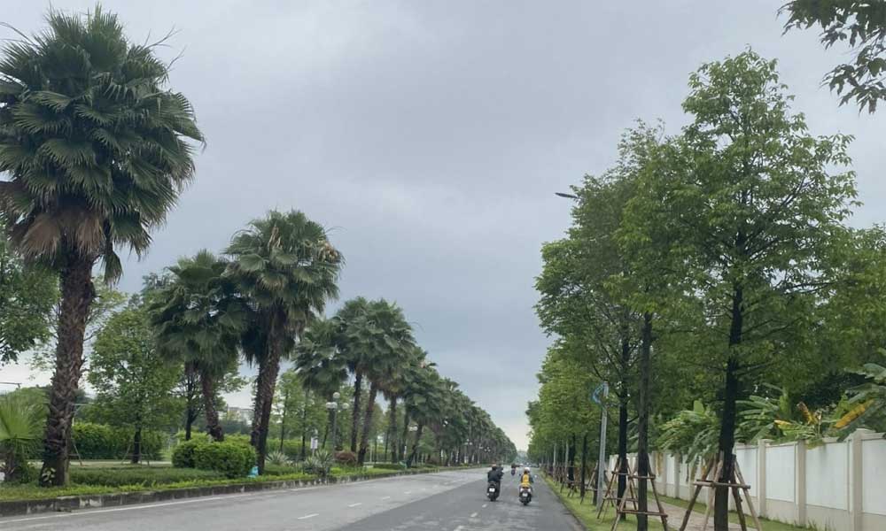 Weather forecast for nighttime of 08th March and full day of 09th March, 2026