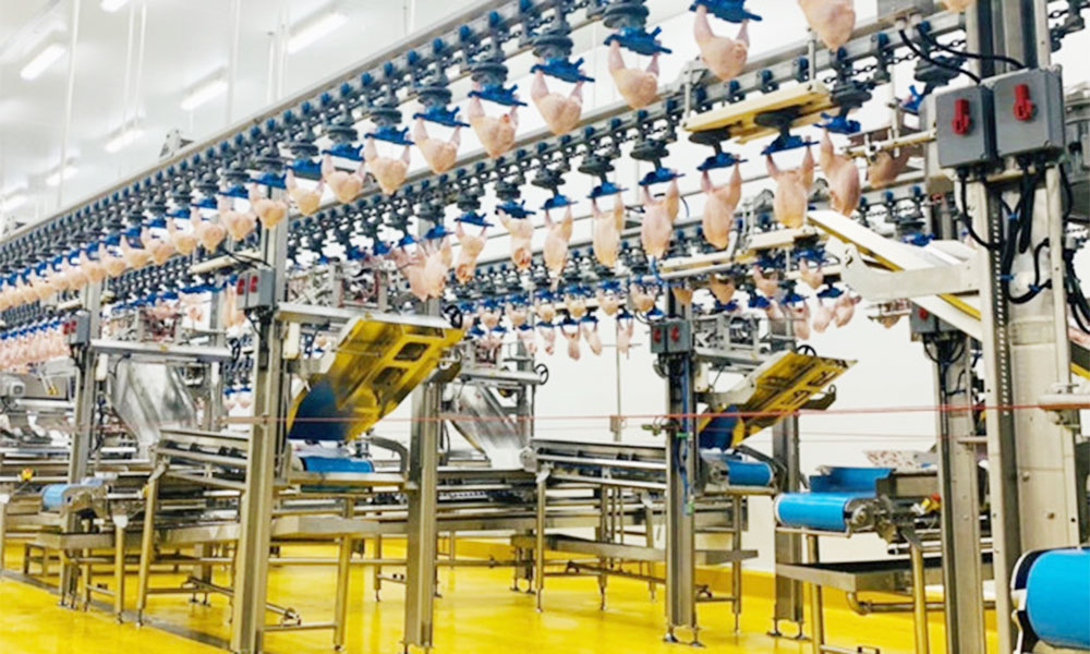 Domestic market emerges as strategic pillar amid global turmoil