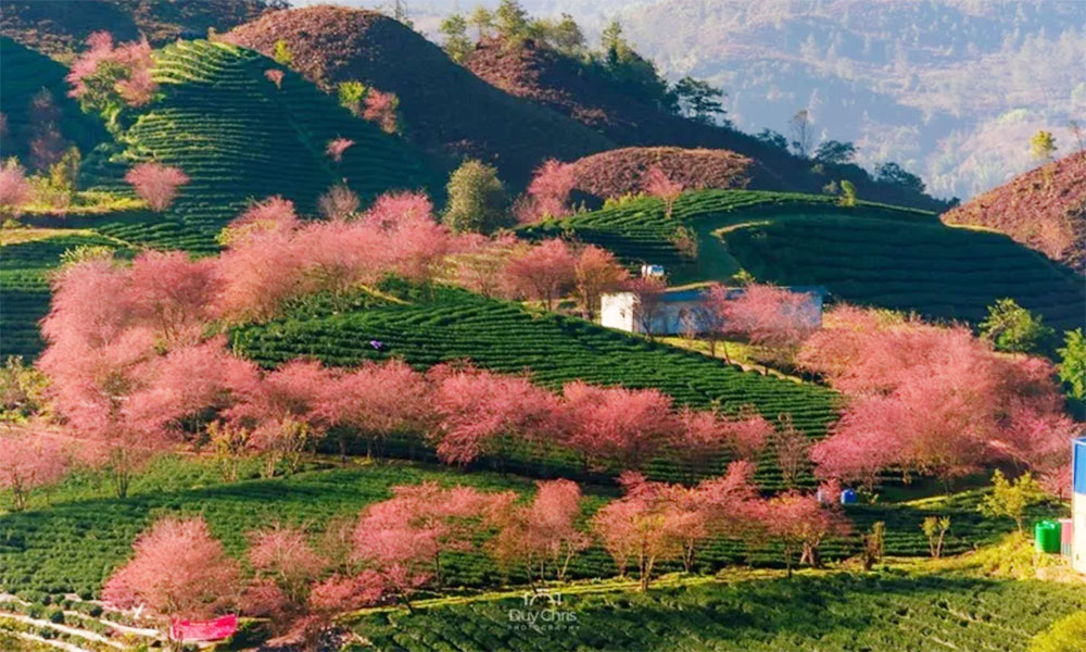 Vietnam among top five destinations searched by French travellers