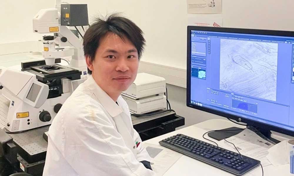 Vietnamese scientist discovers rice compounds that outperform chemo drugs against blood cancer