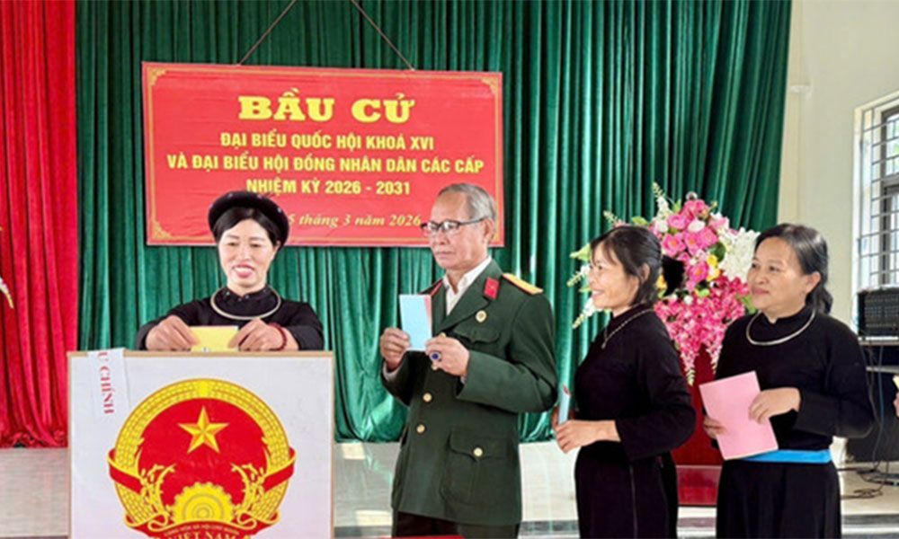 Vietnam’s election contributes to strengthening development orientation: Argentinean journalist