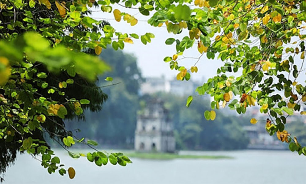 Weather forecast for nighttime of 19th March and full day of 20th March, 2026