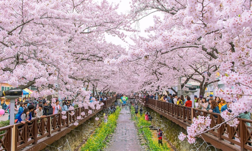 South Korea plans 10-year visas for residents of Vietnam's major cities