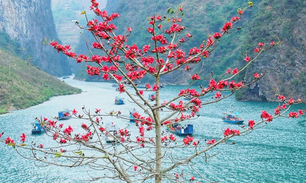 Vietnam's Ha Giang, Hoi An named among world's most beautiful destinations