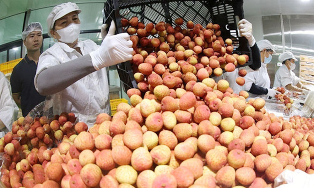 Vietnam’s food sector urged to move up global value chains