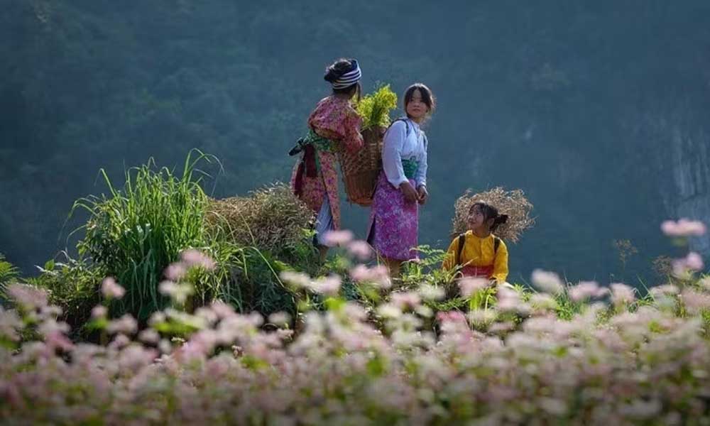 Viet Nam Ethnic Groups’ Cultural Day strengthens community bonds