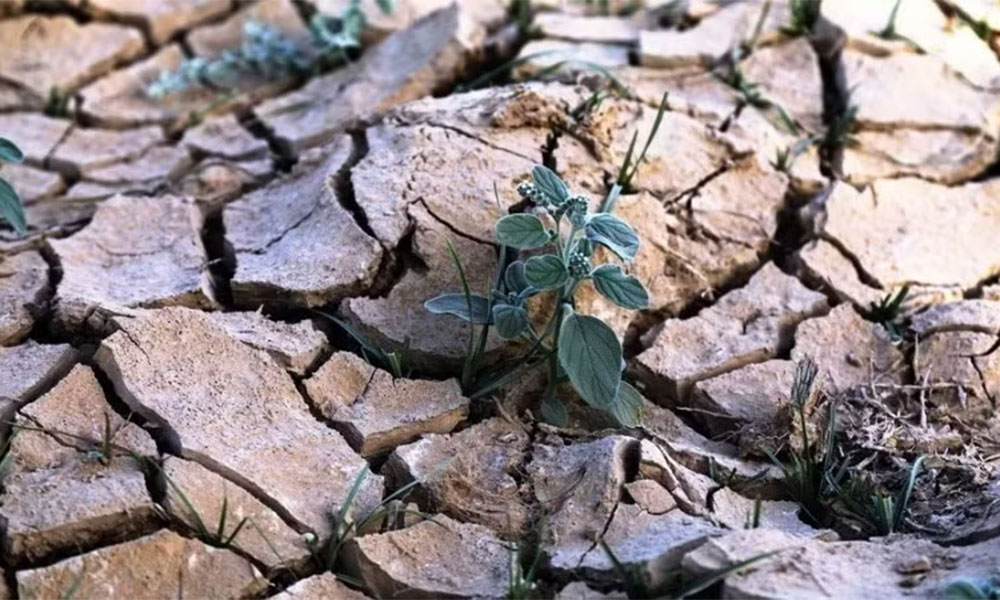 Global efforts intensify to protect water resources