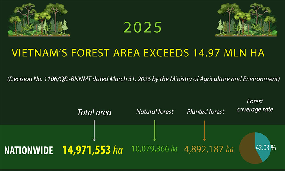 Vietnam forest coverage exceeds 14.97 million hectares in 2025