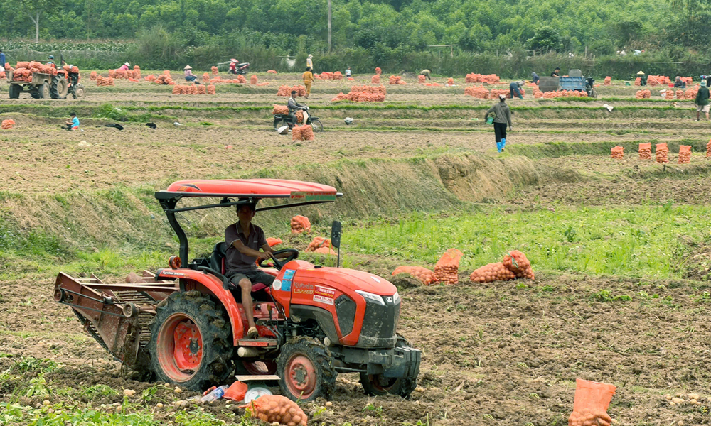 Weekly weather forecast from Monday to Sunday