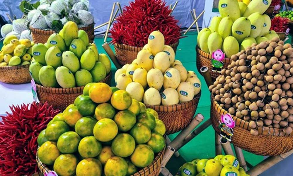 China’s Guangxi advances “three connectivity” with Vietnam