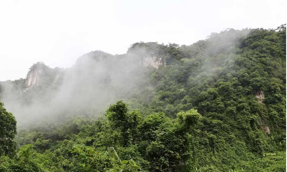 Phong Nha – Ke Bang: untapped biological treasure in Truong Son mountains