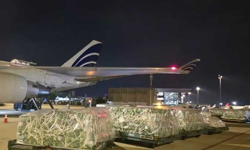 Nearly 100 tonnes of Vietnamese fruits, vegetables airlifted to UAE
