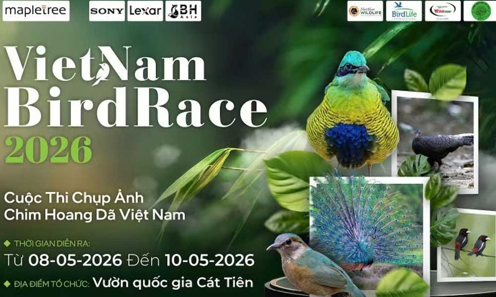 Vietnam BirdRace 2026 to attract hundreds of photographers worldwide
