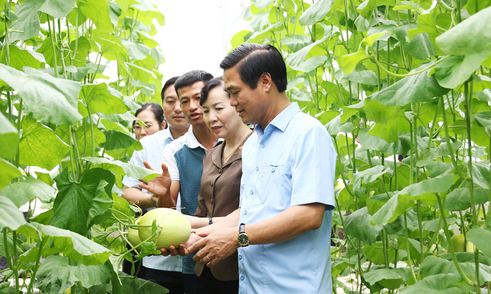 Bac Ninh promotes technology transfer, improves farmers’ access to concessional loans