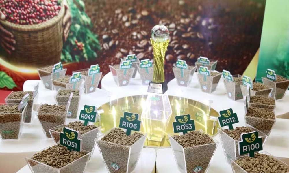 Vietnam Amazing Cup 2026 reinforces quality benchmark for specialty coffee sector