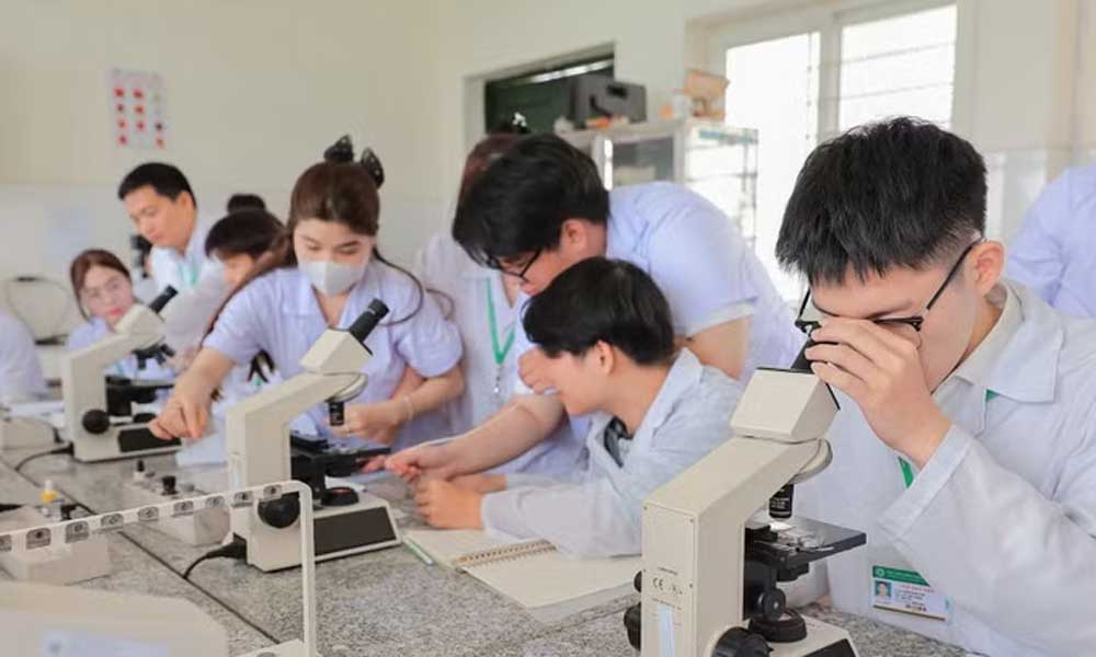 Digital capacity improvement needed for comprehensive human development