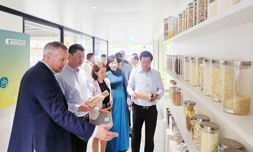 Bac Ninh strengthens cooperation, investment promotion with foreign localities and organisations