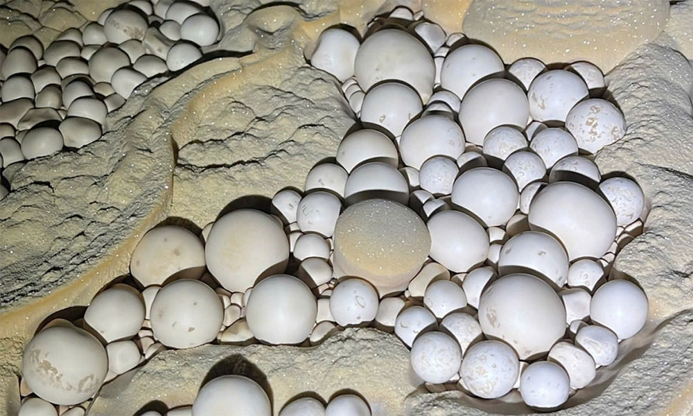 Rare cave pearls discovered in UNESCO-listed Phong Nha-Ke Bang