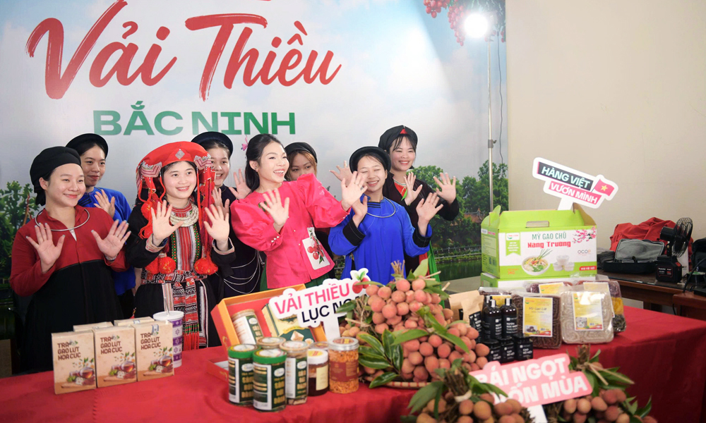 Bac Ninh expands regional tourism partnership to boost lychee-season travel