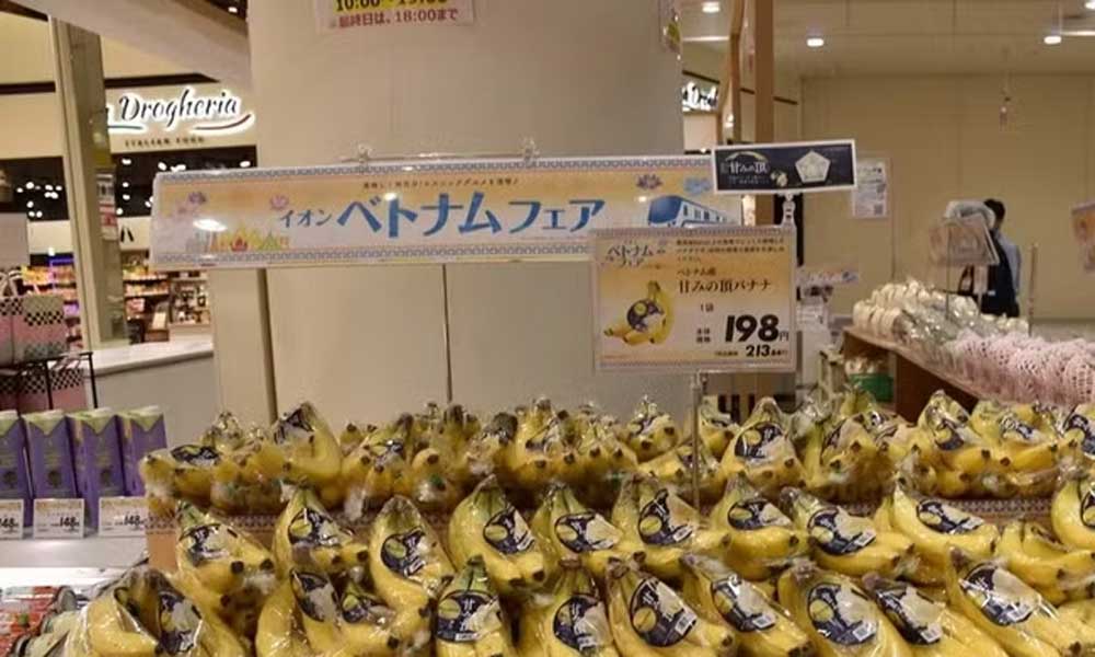 Vietnamese products promoted at AEON stores across Japan