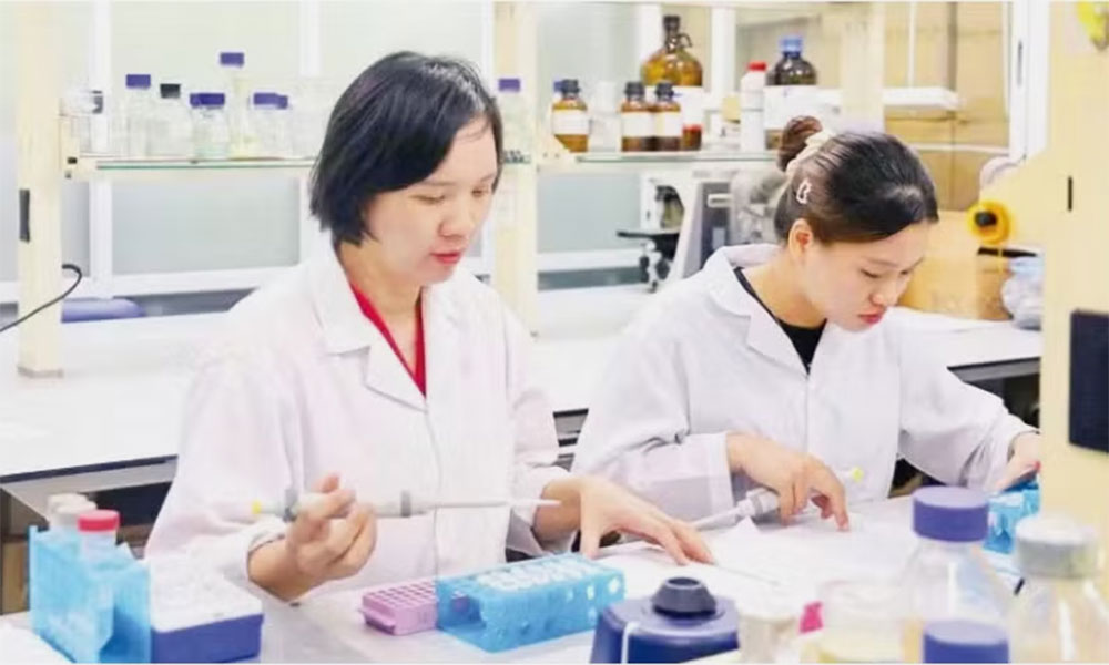 Vietnamese scientists develop nanovitexin from mung bean husks to support diabetes treatment