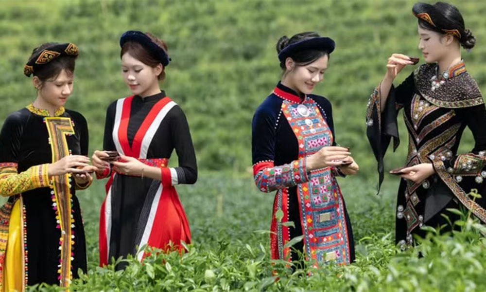 Tea culture celebrated amid Thai Nguyen’s green hills